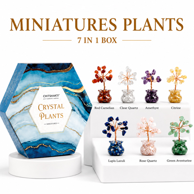 Miniature Crystal Plants 7in1